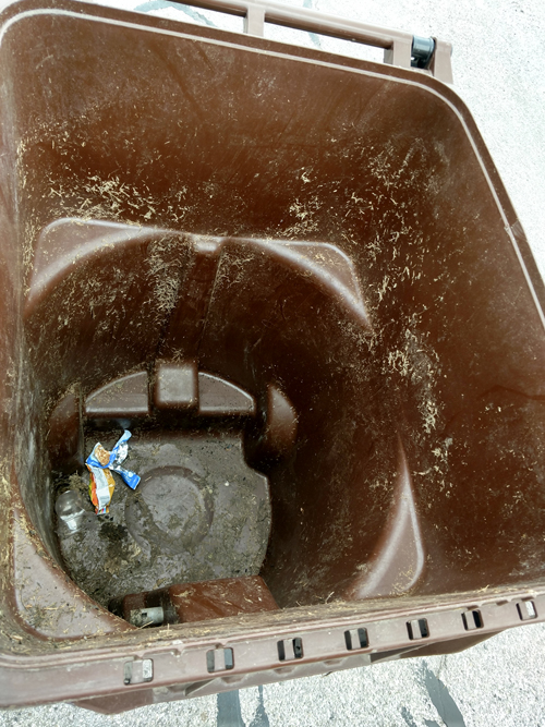 befor trash bin-2