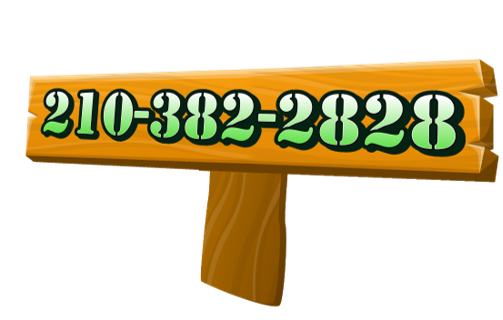 phone number